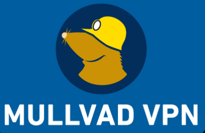 VPN Key (1-month Mullvad)